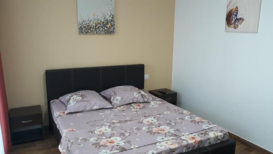 Appartement Casa Roxana à Slatina  Extérieur photo