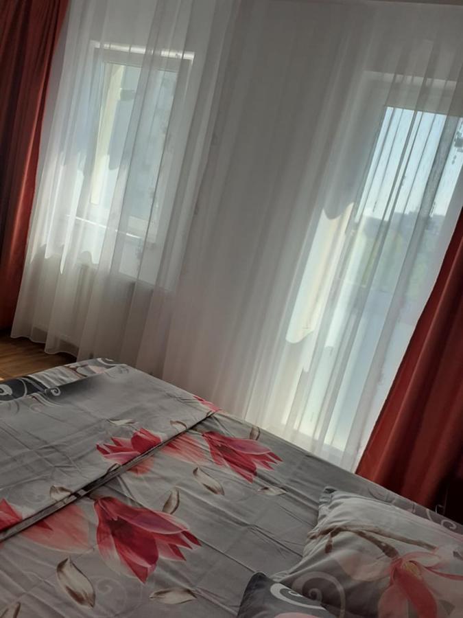 Appartement Casa Roxana à Slatina  Extérieur photo